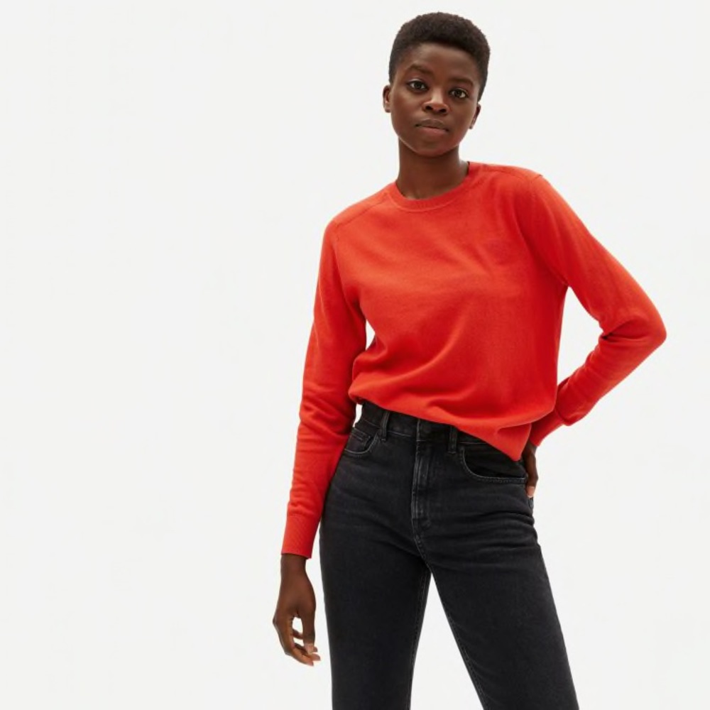 Everlane Organic Cotton Crewneck Sweater